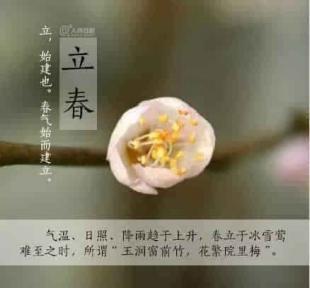 春天的开始