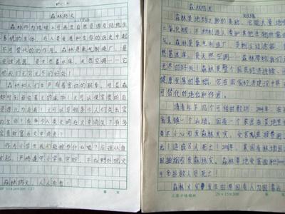 寒假旅行论文300字