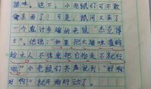 我的同学三年级作文