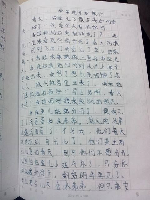 小动物日记