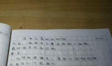 保护动物三年级作文