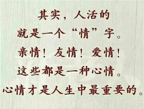 人生感悟构图600字