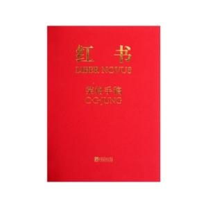 阅读红皮书后的300个字