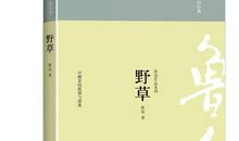 鲁迅的野草读后感