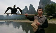 桂林山水读后感