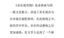 苏东坡突围读后感