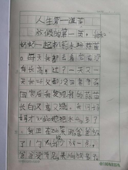 制作菜肴