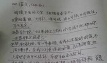 农村风光作文400字