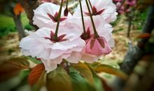 美的瞬间读后感