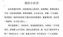 我的小伙伴六年级作文