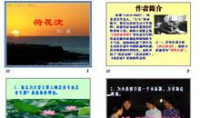 荷花淀读后感400字