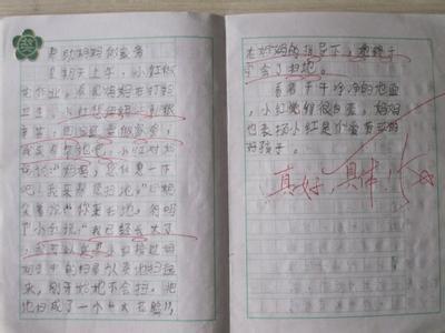 首次撰写400个单词的构图