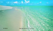 在金色的海滩上读后感