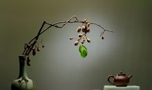 人生如茶作文