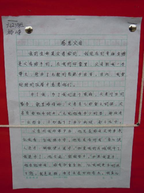 感恩母亲的作文