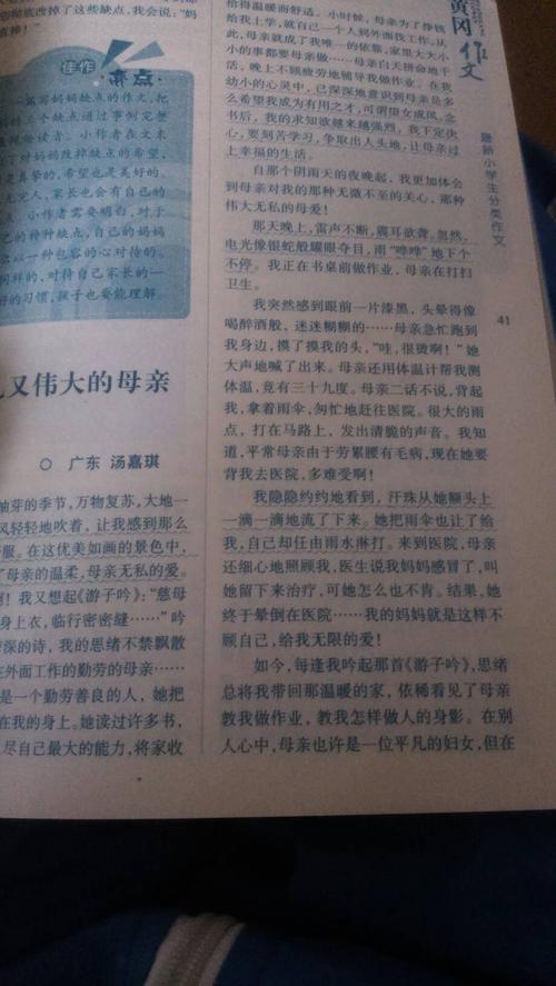 母爱组成