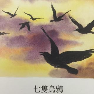 七只乌鸦