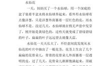 描写水仙花的作文