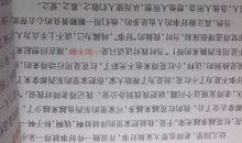 去公园玩作文400字