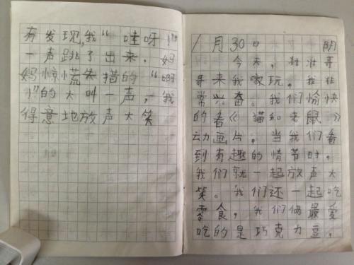 一年级日记大全30字