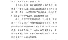 公园的一角作文400字