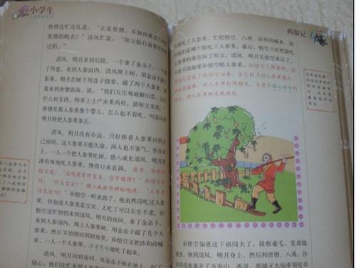 我是小书虫