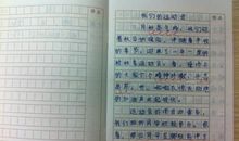 秋日的阳光作文