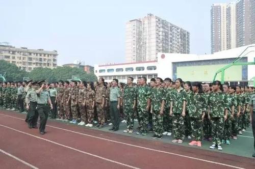 我的老师组成
