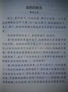 春天的感觉组成
