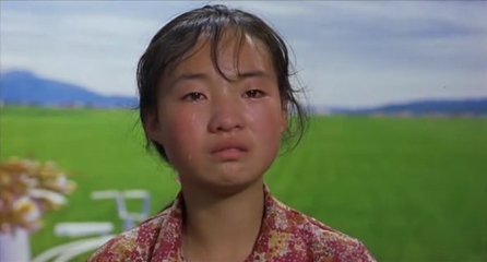 一个不能错过的印象