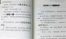班级宠物一家亲读后感200字