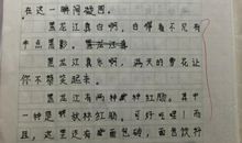 春天的公园作文150字