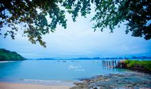 经典语录：最美的风景，是我同你看过