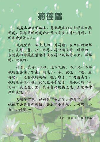 在海滩上的组成