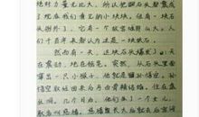 感恩生活作文