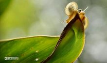 经典语句：天不老，情难绝