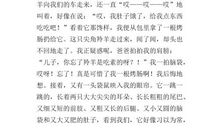 去动物园的作文300字