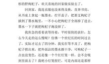 作文一次有趣的实验