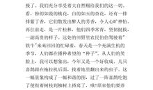 春天的公园作文400字