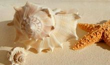 去海边旅游的作文