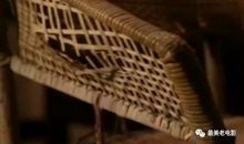 电影焦裕禄读后感