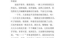 学习的收获作文