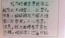 写事的日记300字