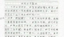 春天的景色作文100字