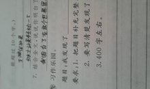 我发现了生活中的美400字作文