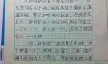 春天的美景作文300字