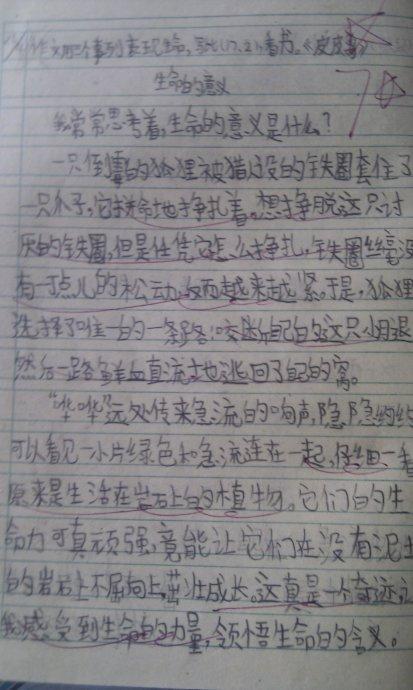 学习作文的意义