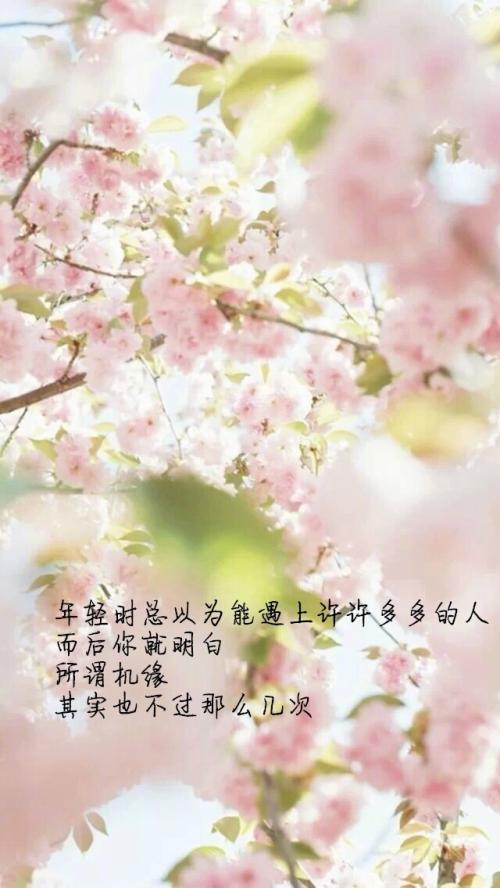 经典语录：因为我喜欢，所以我愿意