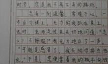 作文我的老师300字