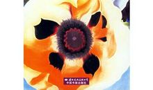 月亮宝石的读后感